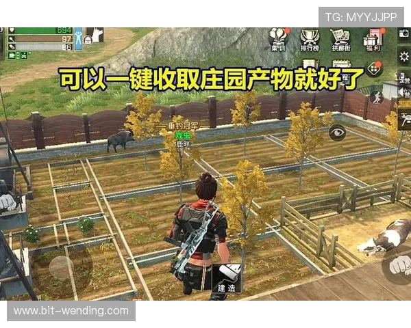 问鼎娱乐备用平台为玩家提供多样化游戏选择与优质客服支持方案